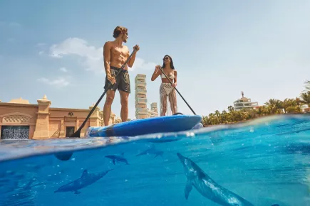 Активный отдых Aloft Palm Jumeirah